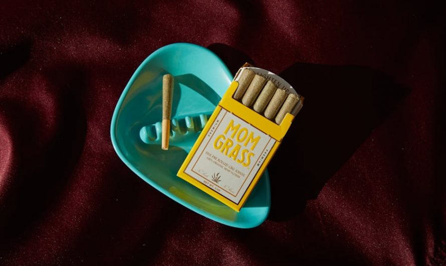 THC Chocolate in Prague: A Boutique Experience