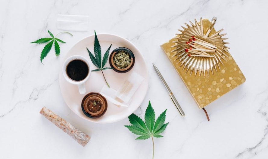 Prague Vape Shop Guide: THC Vapes, Laws, and Local Vendors