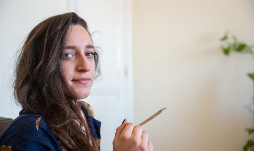 Welcome to the ultimate guide for anyone looking to indulge in THC chocolate while exploring the vibrant city of Prague