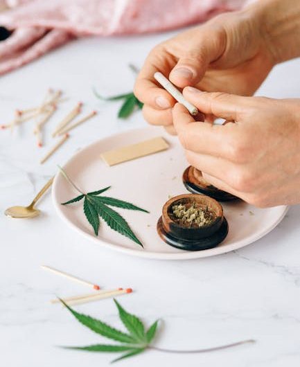 Welcome to the most reliable and affordable cannabis delivery service in Prague