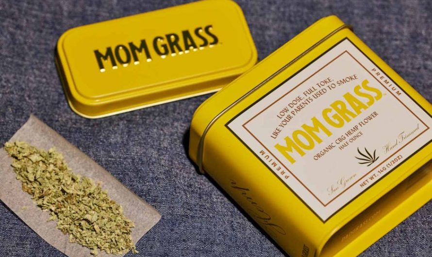 Premium Hemp Delivery Prague: The Ultimate Experience