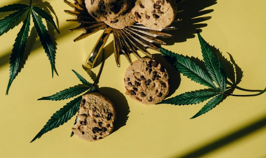 Prague cannabis shop
