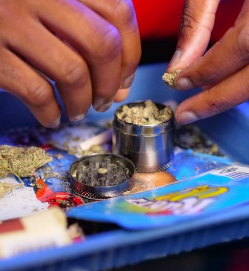 Looking for premium THC‑infused chocolate in Prague?