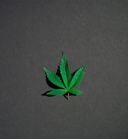 Prague is quickly becoming a hotspot for cannabis tourism Europe