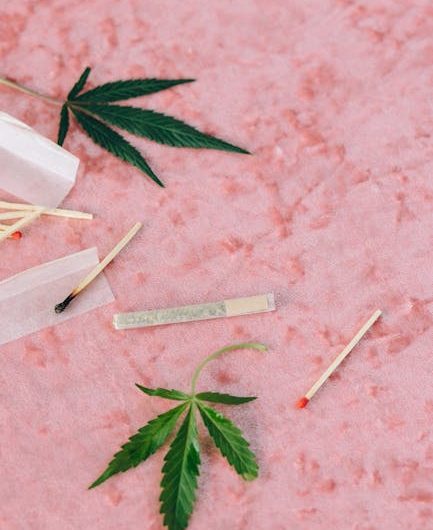 Welcome to the premier destination for premium cannabis, marijuana, hemp, and THC products in Prague
