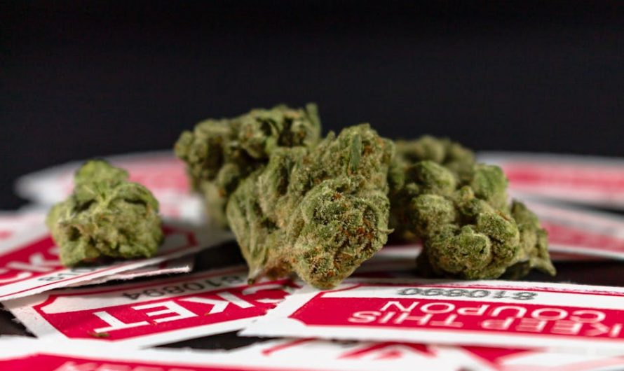 Prague’s Online THC Joint Delivery Shop
