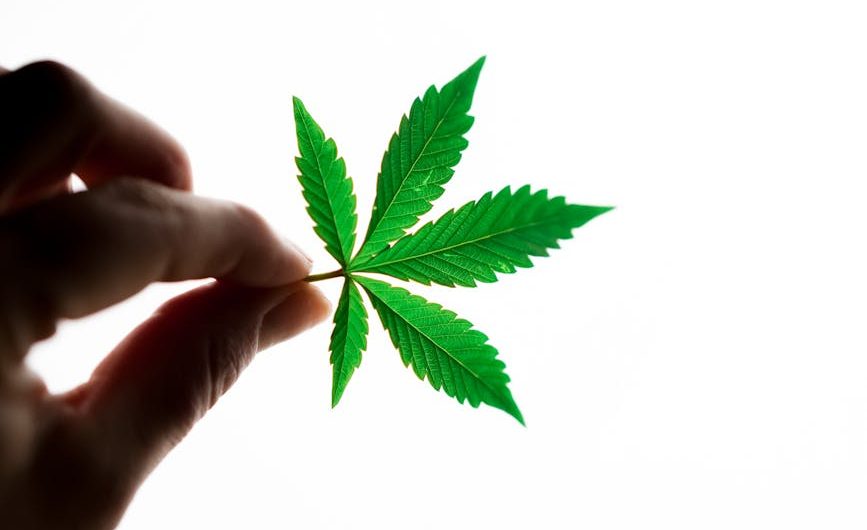 Prague’s vibrant cannabis culture is growing faster than ever
