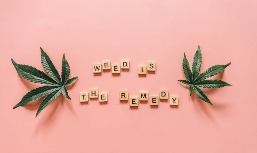 Prague has become a vibrant hub for cannabis enthusiasts