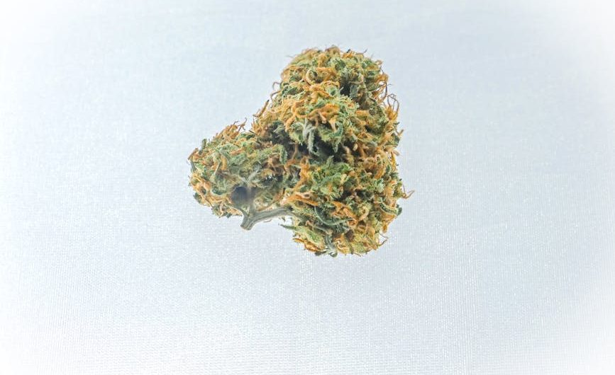 Official THC Retailer Prague Your Trusted Destination for High Quality Cannabis