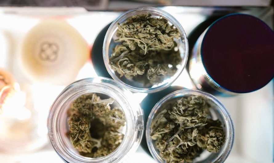 Looking for a reliable, high‑quality source of THC‑rich joints in the heart of Prague?