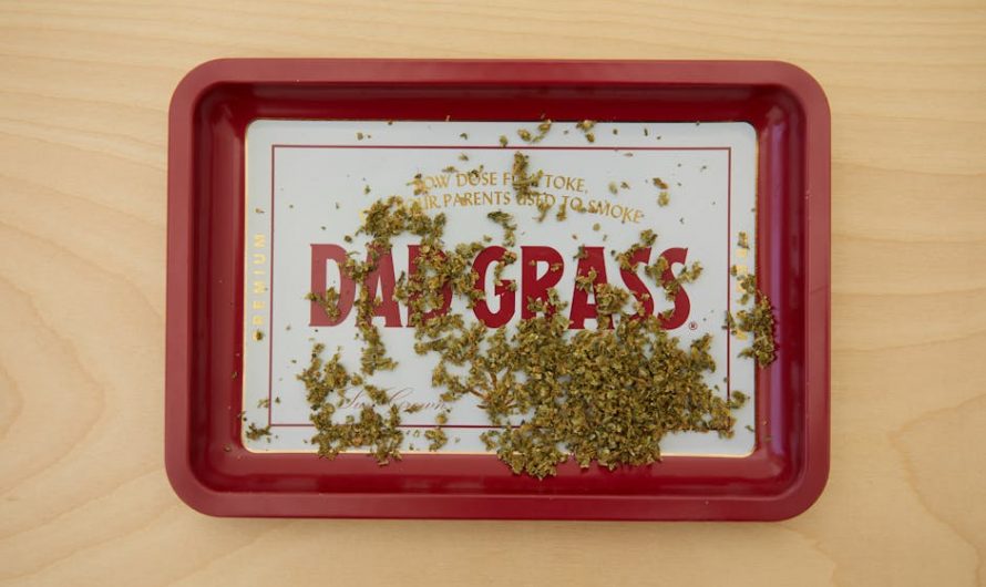 Welcome to the premier destination for high‑quality THC vape and cannabis accessories in the heart of Prague.