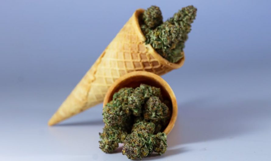 Buying Cannabis in Prague A Complete Guide