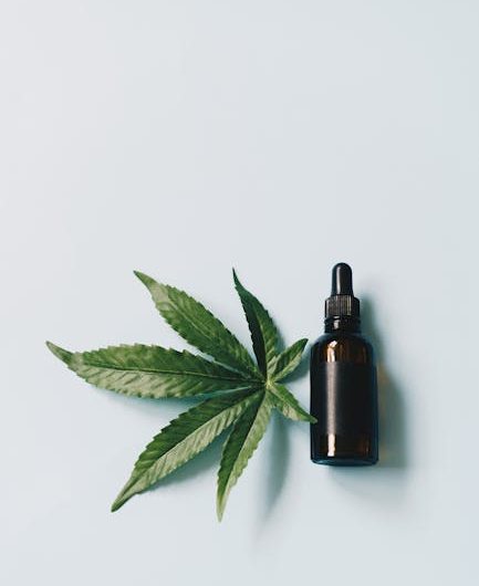 Prague, the heart of the Czech Republic, is quickly becoming a hub for cannabis enthusiasts