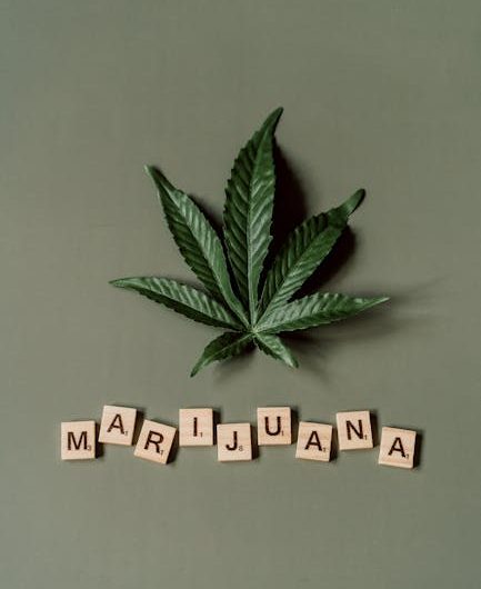 The Ultimate Guide to Hemp and Cannabis in Old Town Prague