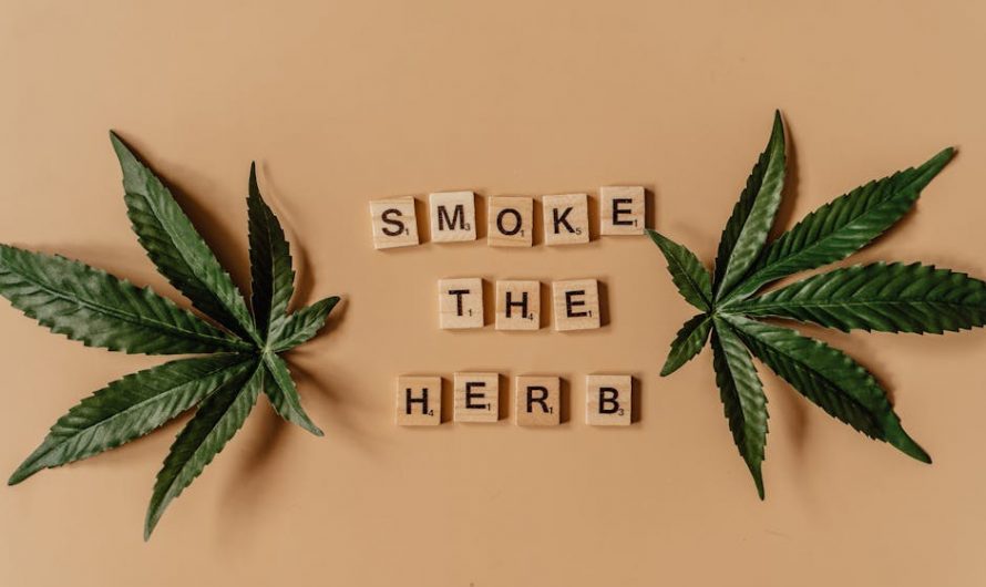 Best Weed Deals in Prague: Your Ultimate Online Cannabis Shop