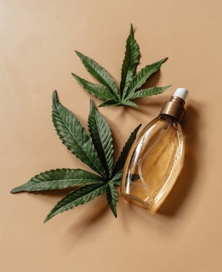 Prague Cannabis Shop