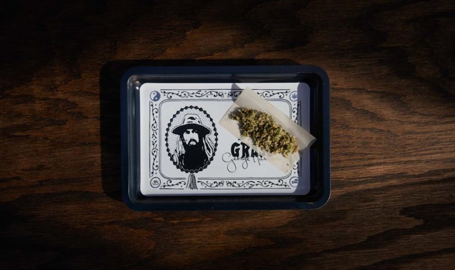 Prague Online Cannabis Shop: Fast, Discreet, and Premium