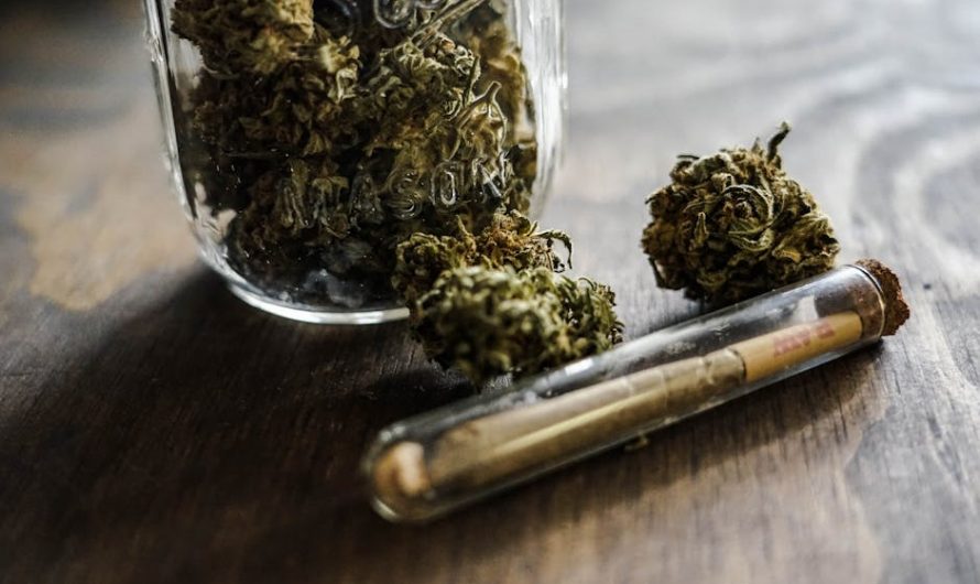 Online Cannabis Shop Prague: THC Chocolate & Edible Delivery