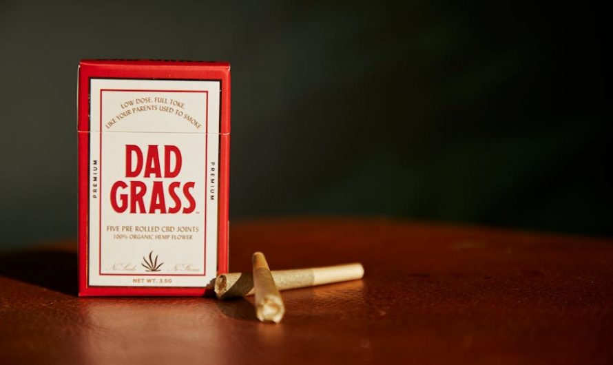 Welcome to the premier destination for THC joints and a full range of cannabis products in Prague