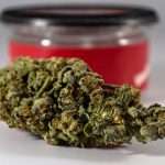 Looking for a reliable, discreet, and fast way to get premium THC joints in Prague? img-1483.jpg