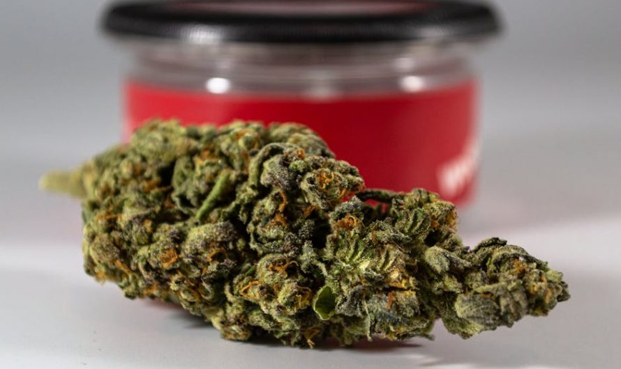 Looking for a reliable, discreet, and fast way to get premium THC joints in Prague?
