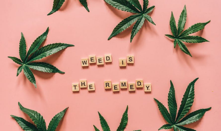 Buy Cannabis, Marijuana, Hemp, THC, and Weed Online in Prague