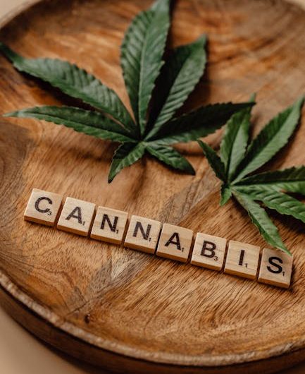 Welcome to Prague’s premier THC joint platform store