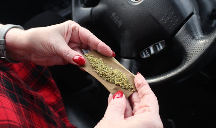 Welcome to the premier online cannabis shop in Prague