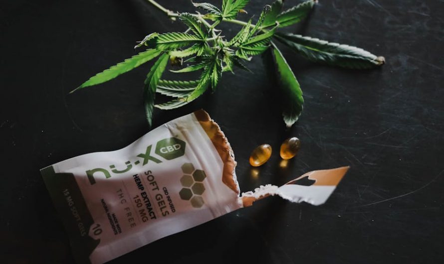 Online Cannabis Delivery in Prague
