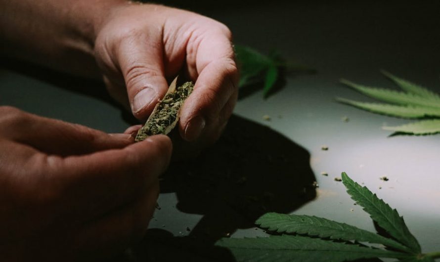 Looking for the best THC vape experience in Prague?