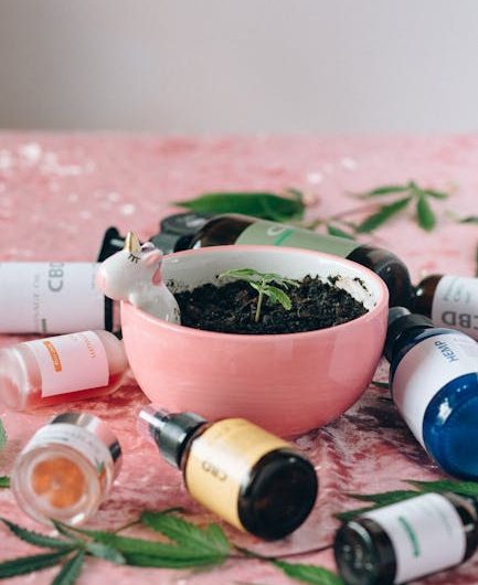 Cannabis in Prague: Legalization, Culture, and Dispensary Guide