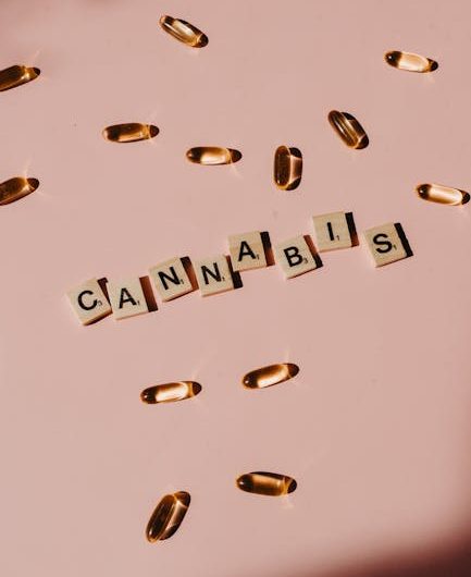 Premium THC Joints, Edibles, and Accessories Delivered to Your Doorstep in Prague