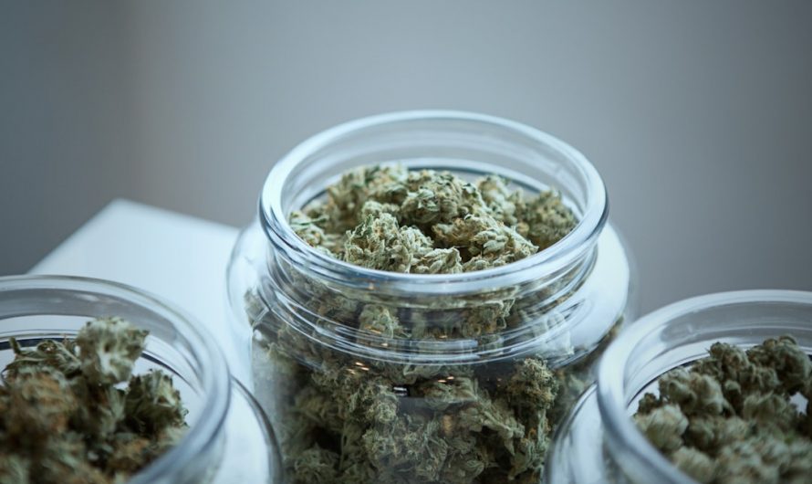 Looking to buy weed online in Prague?