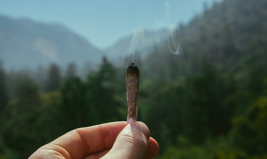 High‑Quality THC‑Infused Chocolates in Prague: Same‑Day Delivery and Exclusive Specials