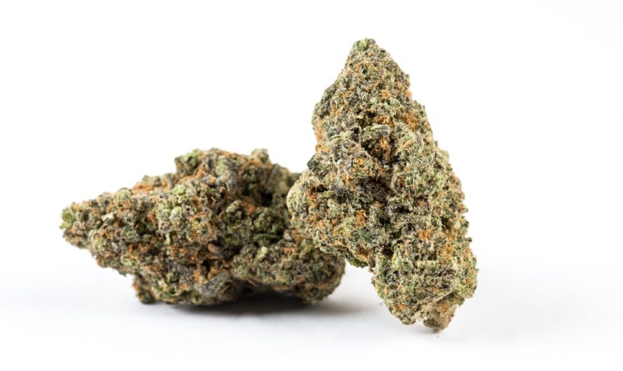 Looking for the best THC vape prices in the heart of Europe? Prague offers a vibrant cannabis market where legal vaping is growing faster than ever.