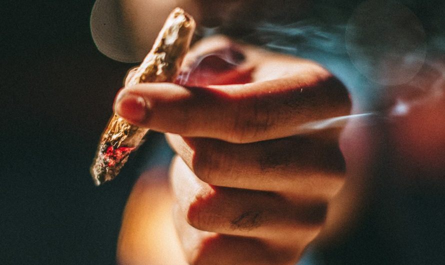Vape Delivery in Prague: Premium THC, CBD, and Herbal Vapes