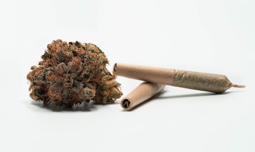 Premium THC Supplier in Prague – Wholesale & Retail Distribution