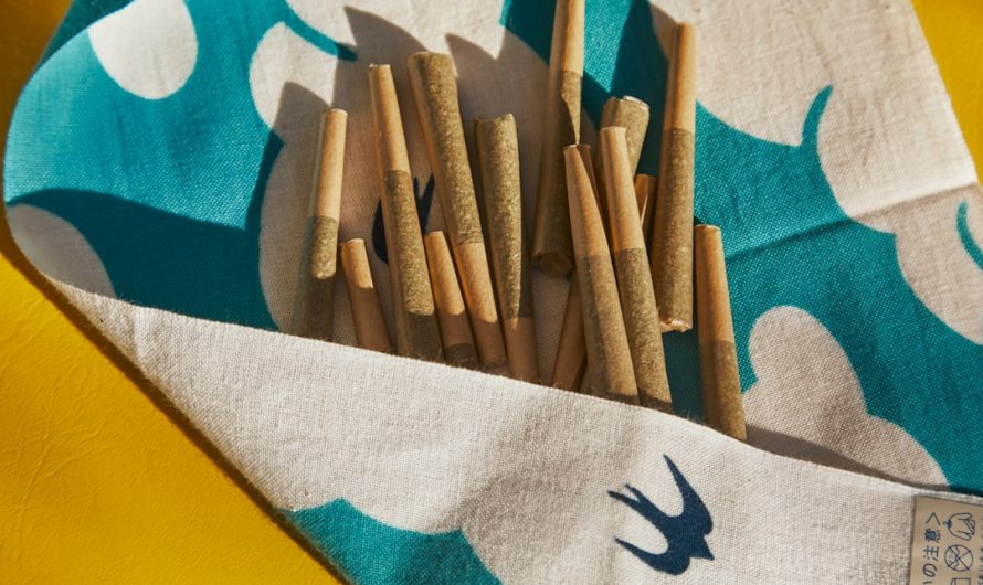 Looking for reliable, affordable cannabis, marijuana, weed, or hemp in Prague?