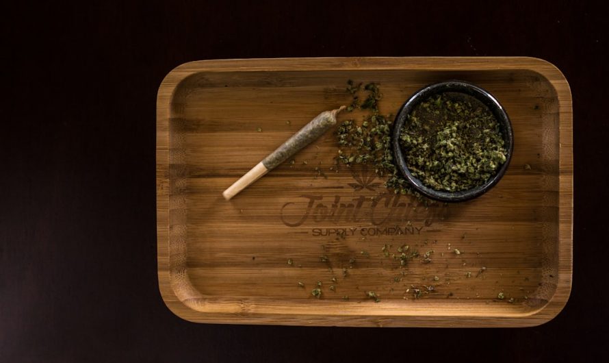 Prague’s growing cannabis culture has opened the door to a new wave of indulgence: THC‑infused chocolate