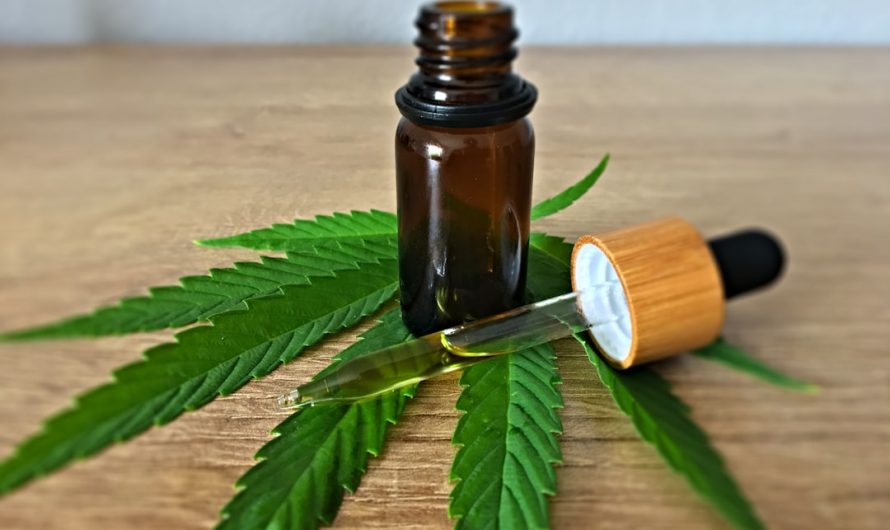 Prague Weed Shop – Premium Cannabis, Strains, Edibles & More