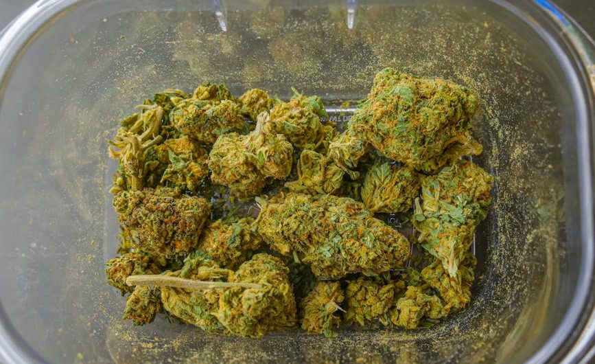 The Definitive Guide to Buying THC Vape in Prague