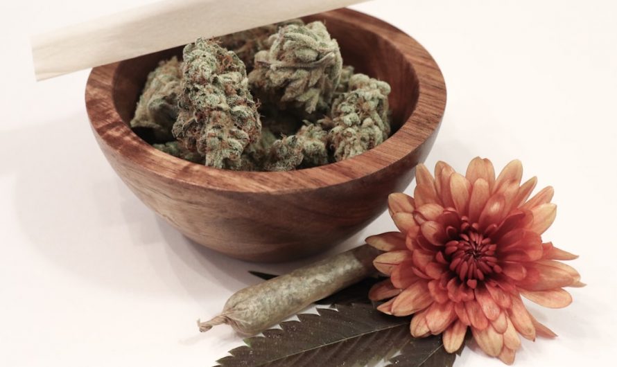 Welcome to Prague’s premier online platform for high‑quality THC vape products