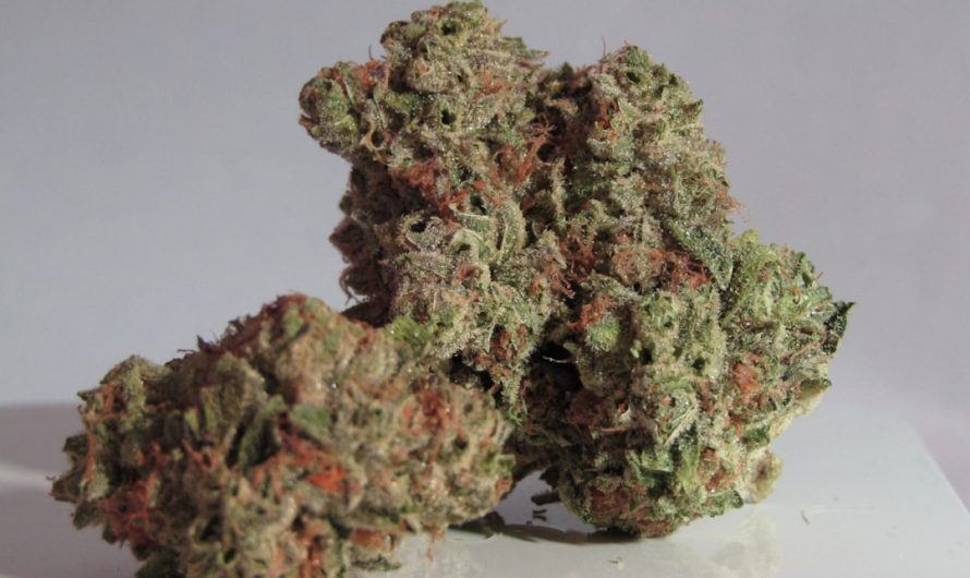 Downtown Prague THC Joint Specials