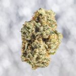 Premium Hemp and Cannabis Dispensary in Prague img-2142.jpg