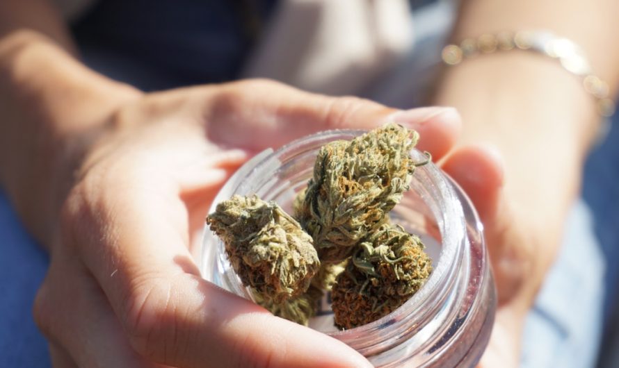 Looking for a quick, reliable way to get high‑quality THC vapes in Prague?