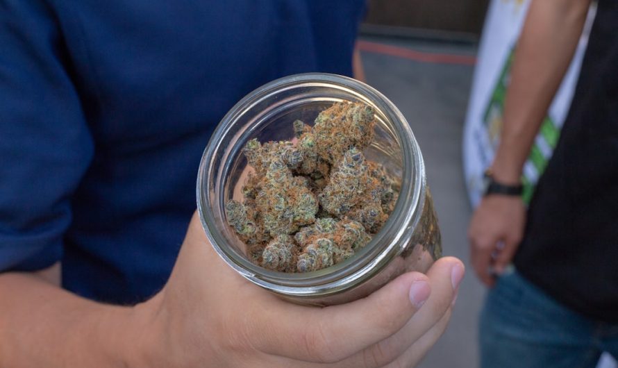 Best THC Vape Shop in Prague – 24/7 Delivery & Wide Selection