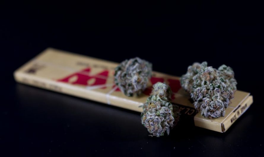 Prague Weed Deals: Your Guide to the Best Cannabis, Marijuana, Hemp, and THC Products