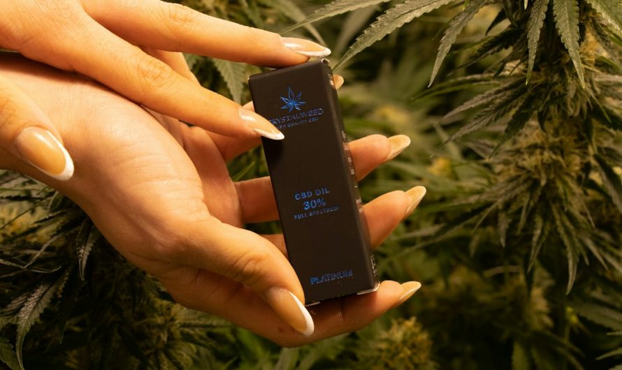 Prague THC Chocolate Shop: Online Cannabis-Infused Chocolate Delivery