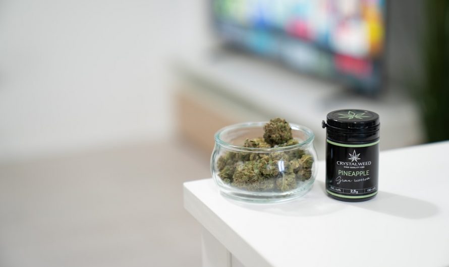 Prague’s Premier THC Chocolate Dispensary
