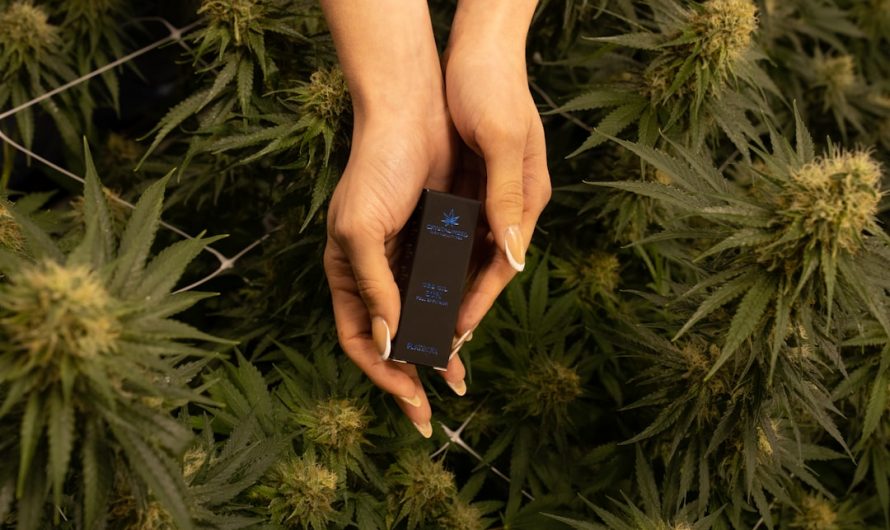 Premium THC Vape Delivery in Prague